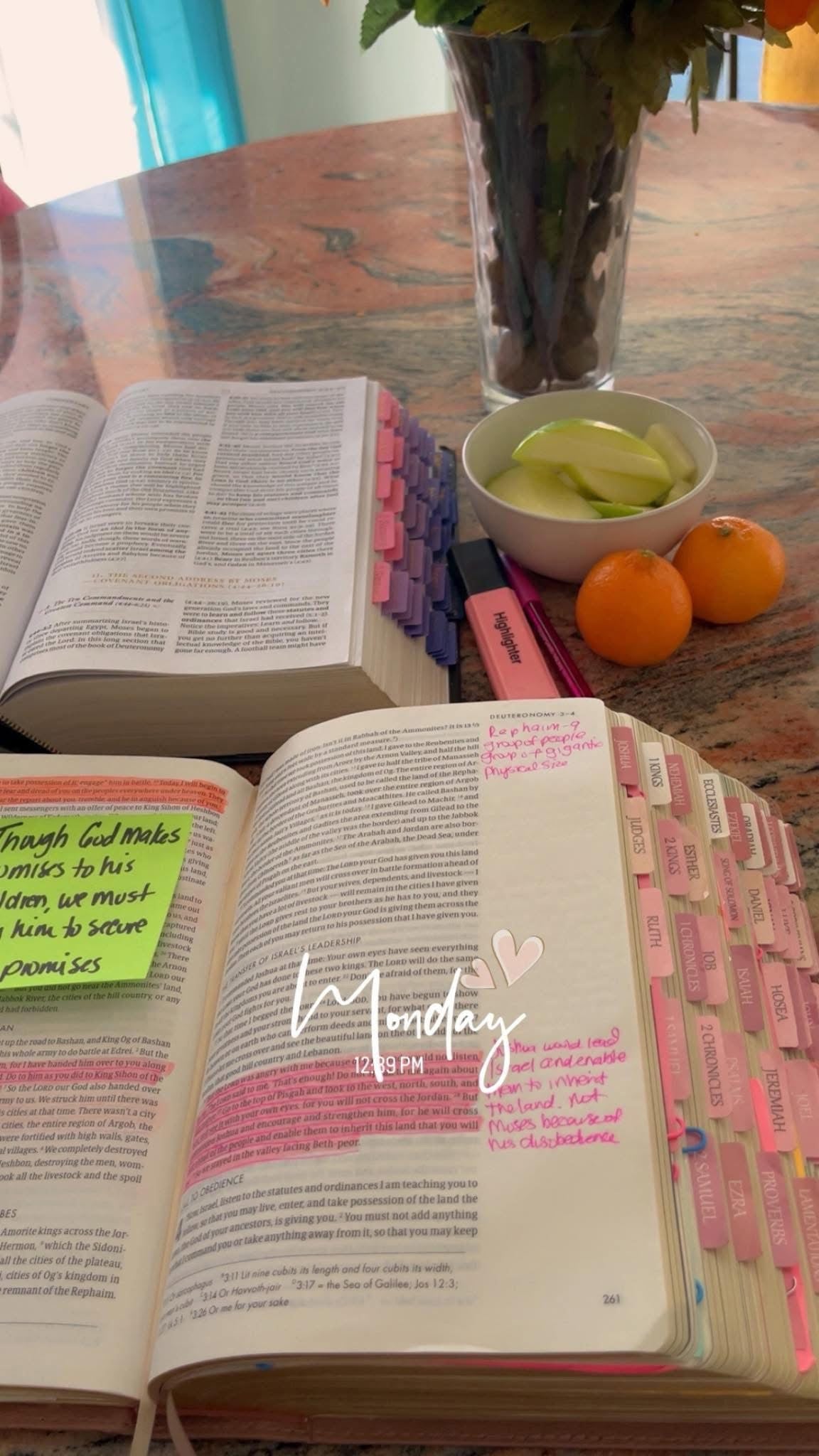 Add Bible Tabs to Bible